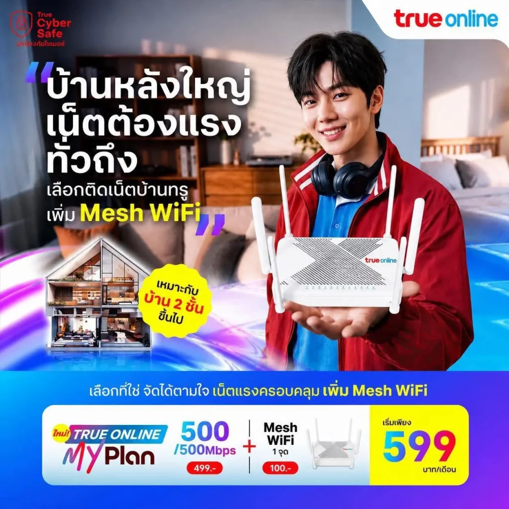 Promotion Mesh 599