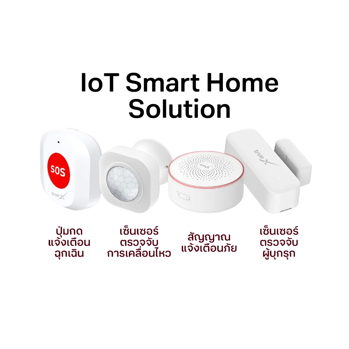True Gigatex Mesh Wi-Fi