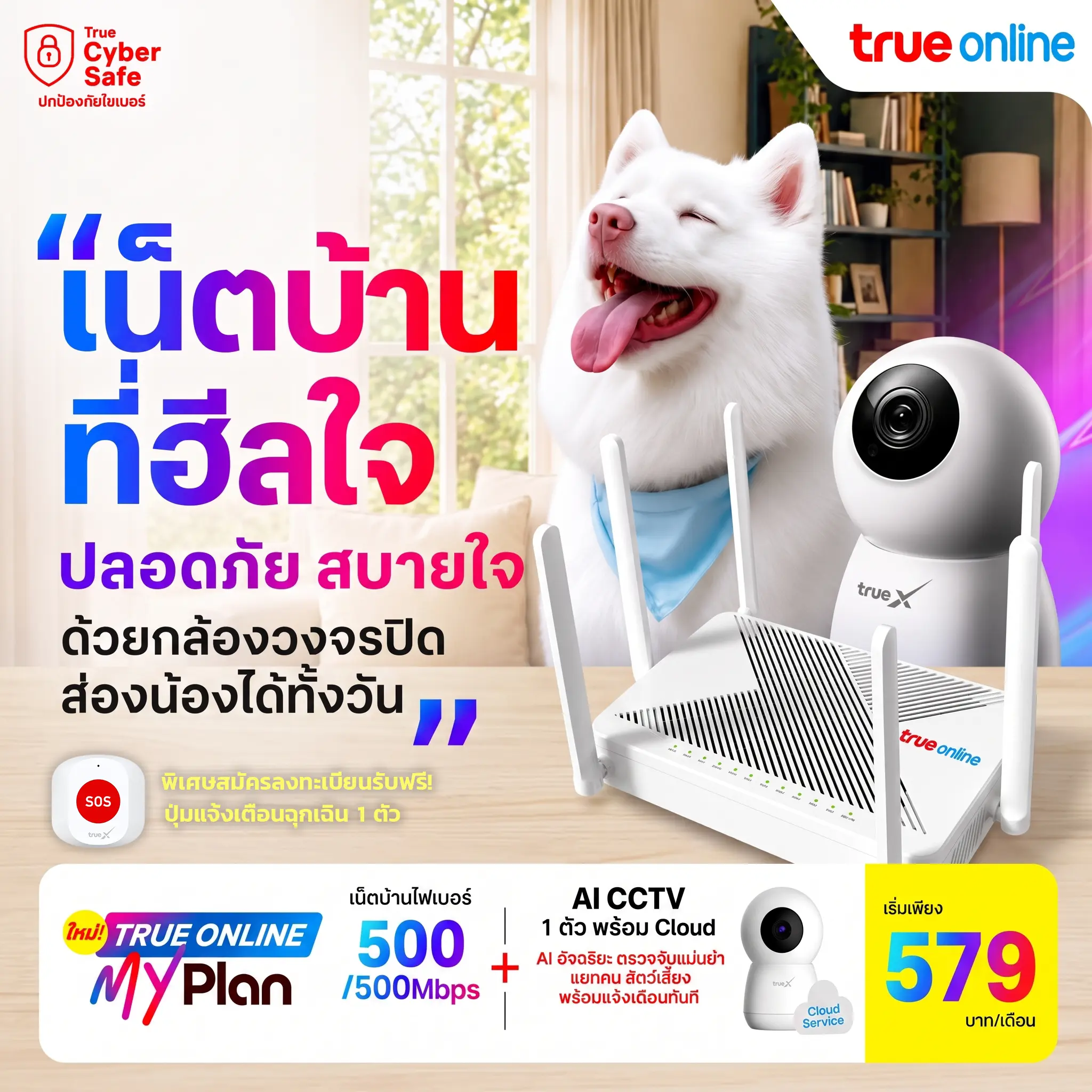 หน้าปกโปรเน็ตบ้านรูพร้อมกล้องวงจรปิด CA v2